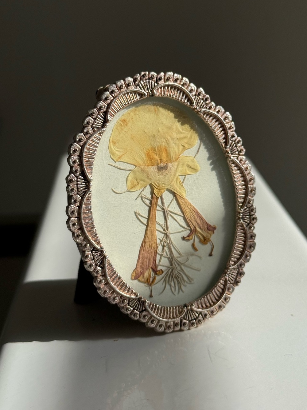 Handmade Dried Pressed Flowers Y2K Zellers Oval Metal Black Velvet Photo Frame